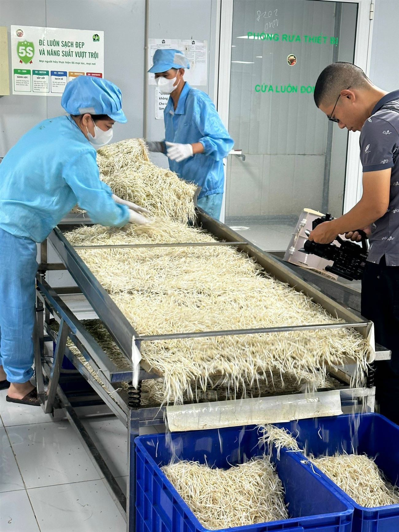 Dự án Sạch hóa giá đỗ Việt - Tâm điểm truyền thông khi các kênh truyền hình lớn đồng loạt đề nghị ghi hình 