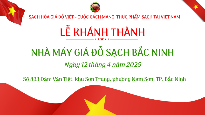 ⭐️KHÁNH THÀNH NHÀ MÁY GIÁ ĐỖ SẠCH BẮC NINH – MỘT DẤU ẤN HÀO HÙNG CỦA SẠCH HÓA GIÁ ĐỖ VIỆT
