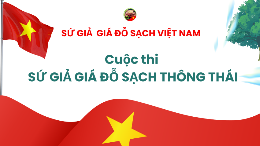  🎓 SỨ GIẢ GIÁ ĐỖ SẠCH THÔNG THÁI