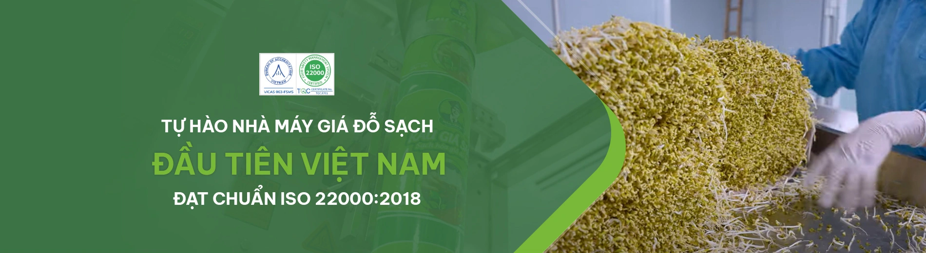 Sản phẩm tiêu hóa 