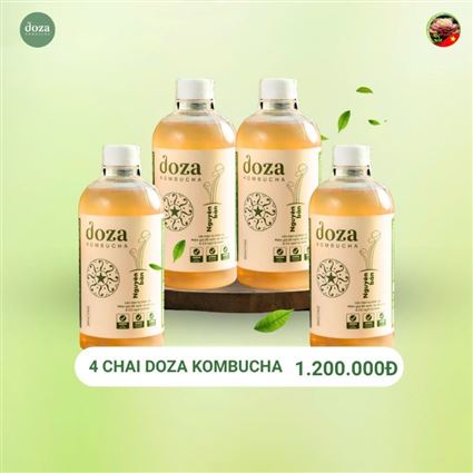 Combo 4 Doza Kombucha - Thuyên giảm Trĩ, Đại tràng