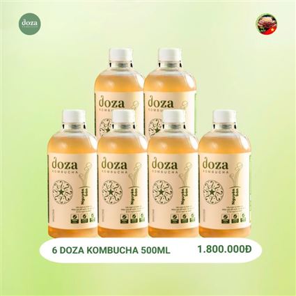 Combo 6 Doza Kombucha - Thuyên giảm mỡ bụng, mỡ trắng lâu năm