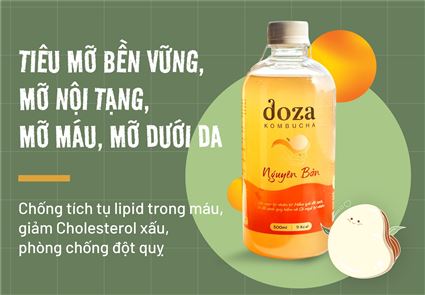 Banner Doza kombucha