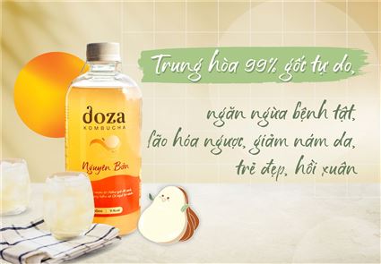 Banner Doza Kombucha 2