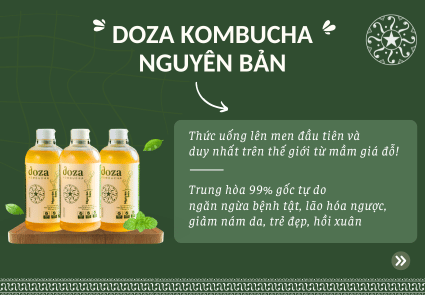 Banner Doza Kombucha 2