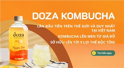 Doza Kombucha