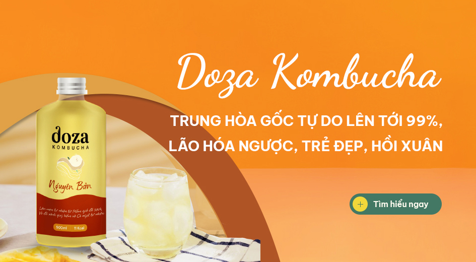 Doza Kombucha