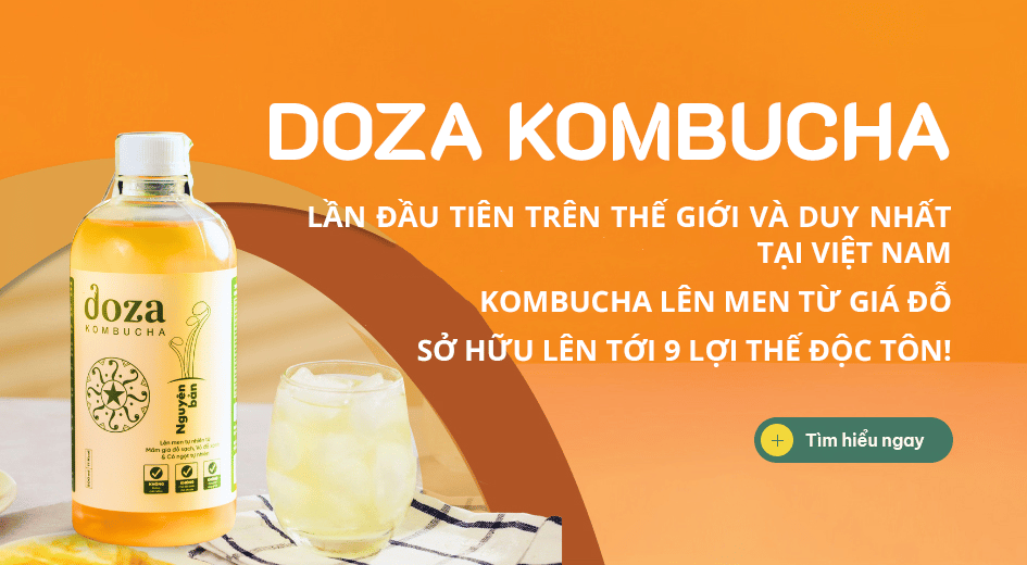 Doza Kombucha