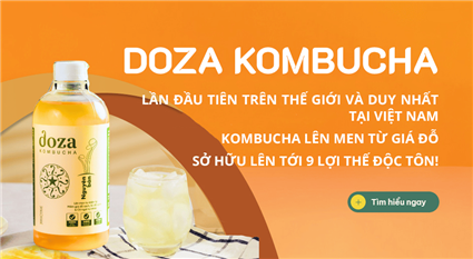 Doza Kombucha