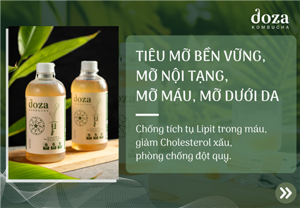 Banner Doza kombucha